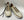 Style: 21294-Bone/Multi