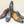 Style: 2234-1233-Grey