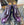 Style: 2460-2301P-Purple