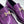 Load image into Gallery viewer, Style: 34144P-Purple
