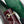 Style: E23AY239-Burgundy