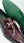 Style: E23AY239-Burgundy
