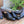 Calfskin 