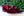 Slip-On Loafer Burgundy