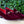 Velvet Slip-On Loafer Burgundy
