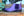 Burnished Calfskin Belt Purple
