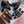 Load image into Gallery viewer, Burnished Calfskin Slip-On Loafer Burgundy
