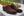 Lace-Up Oxford Chocolate