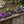 Calfskin Slip-On Tasseled Loafer Purple