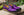Calfskin Slip-On Tasseled Loafer Purple