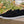 Suede Slip On Loafer Black