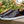 Calfskin Lace-Up Sneaker Chestnut