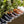Calfskin Lace-Up Sneaker Black