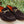 Pelle Suede Loafer Brown