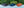 4981S-Navy